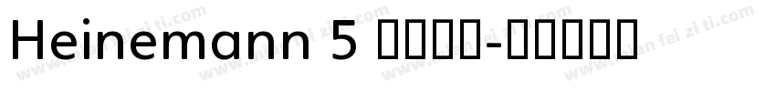 Heinemann 5 字体家族字体转换